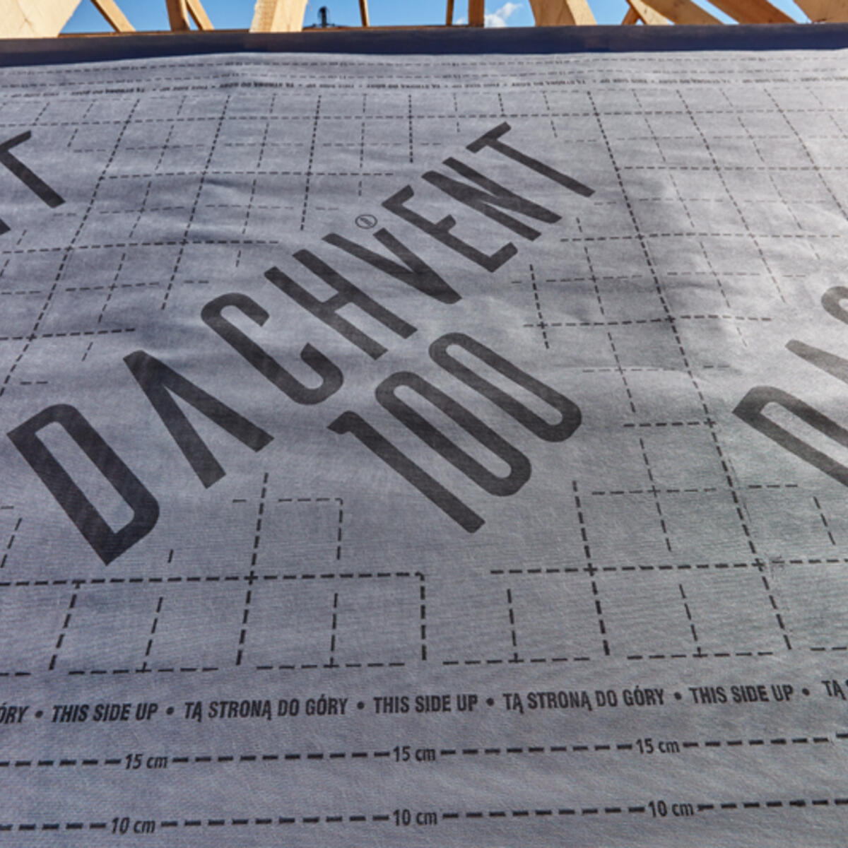 Dachvent 100