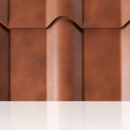 Safari Brown