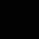 9005 черный